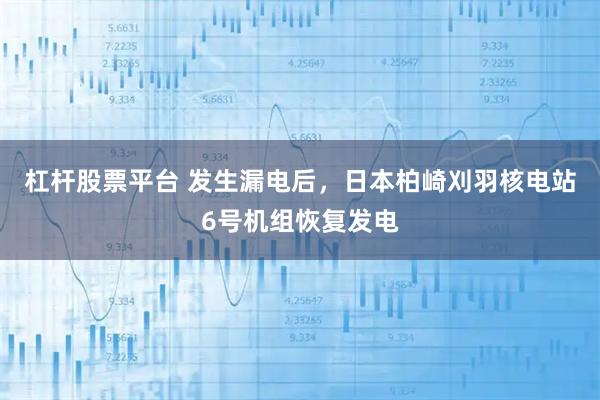 杠杆股票平台 发生漏电后，日本柏崎刈羽核电站6号机组恢复发电